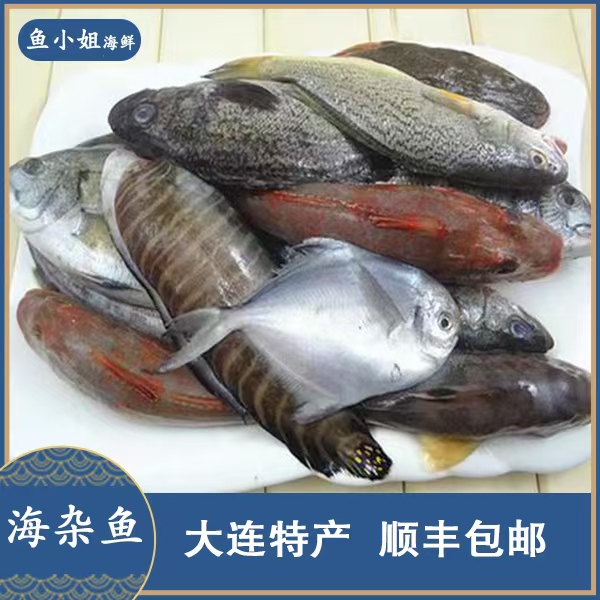 大连本地野生海捕随机一份小海鲜