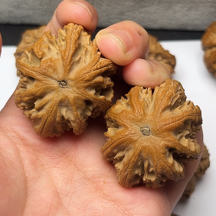 秦岭文玩核桃核桃