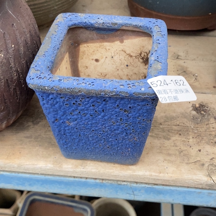 162号多肉盆小可爱