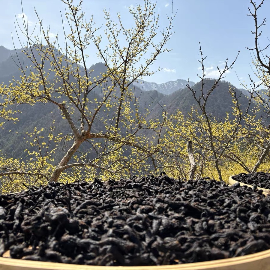 现收九蒸九晒黄 晶土特产可搭配熟地黄食用