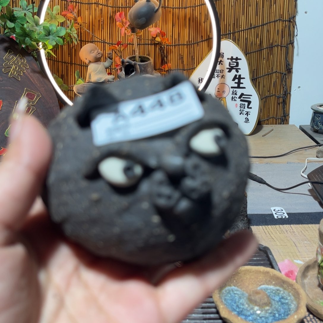 木村信弘柴烧保平