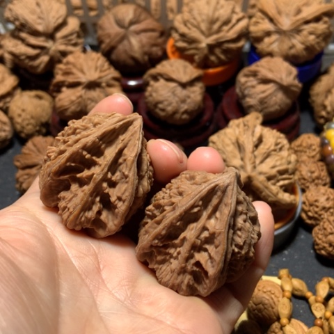 核桃醉****Z三棱生命两个