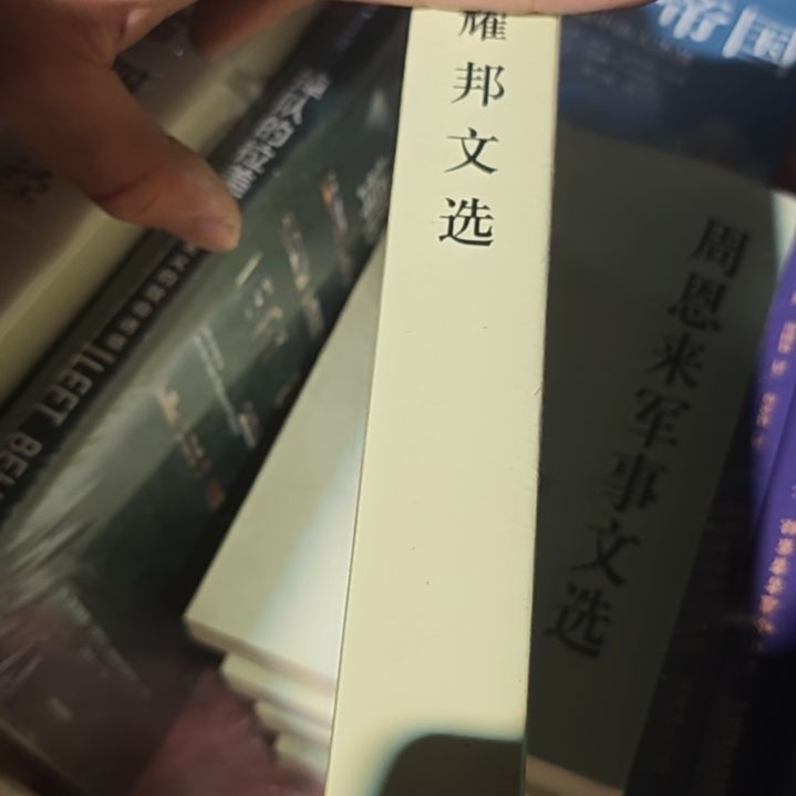 胡什么什么文选平装塑封库存书