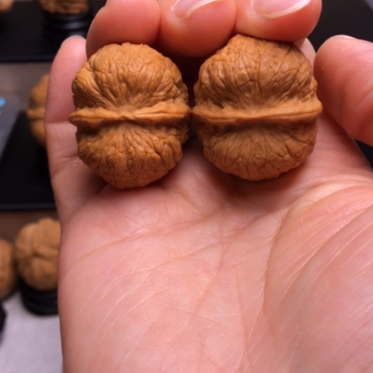 文玩核桃把件黄金元宝蟾11