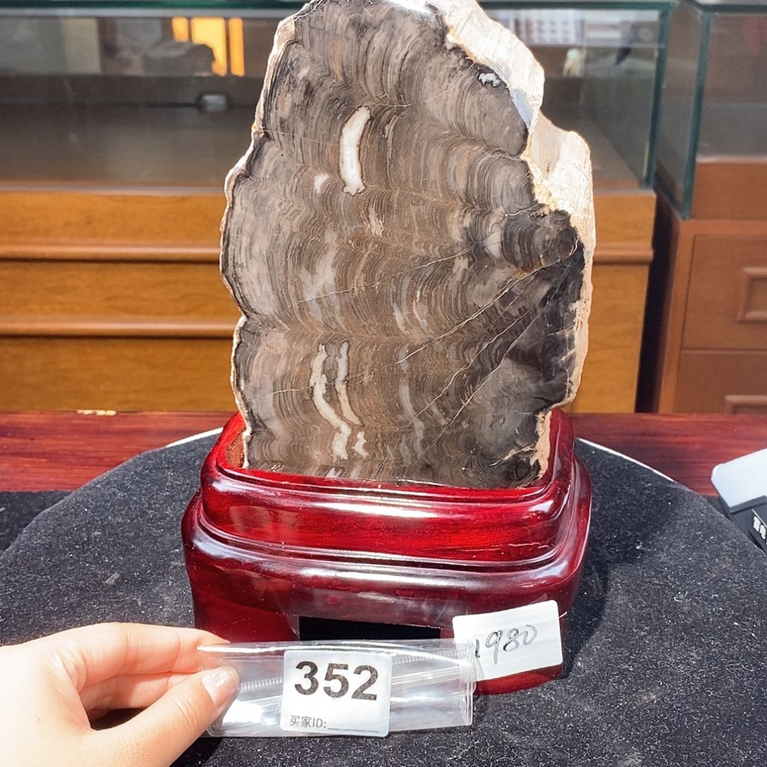 硅化玉天然北票硅化玉原石未镶嵌天然北票硅化玉原石高度26厘米