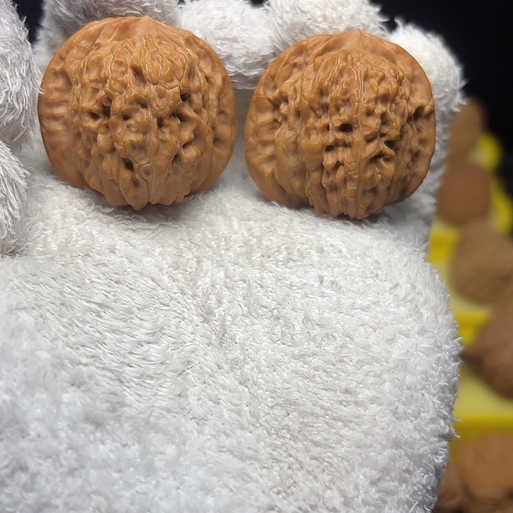 大叶紫檀（黑酸枝木类）四座楼39尺3