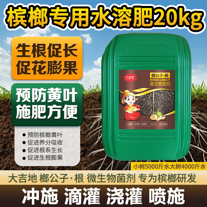 大吉地【榔公子根】生根养树预防黄叶黄化防治根腐褐根烂根肥全水溶