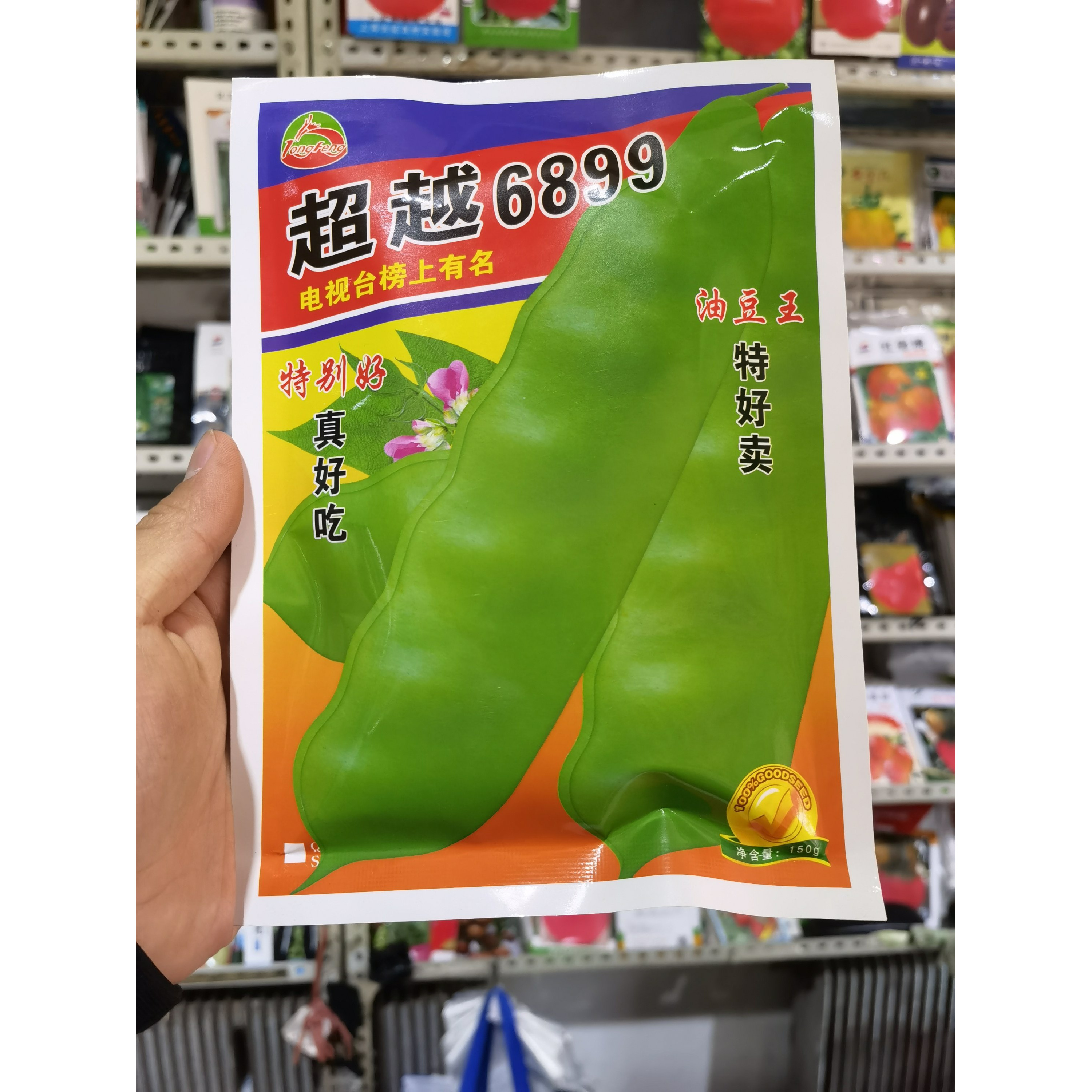 龙丰秋玉龙丰6899油豆王种子