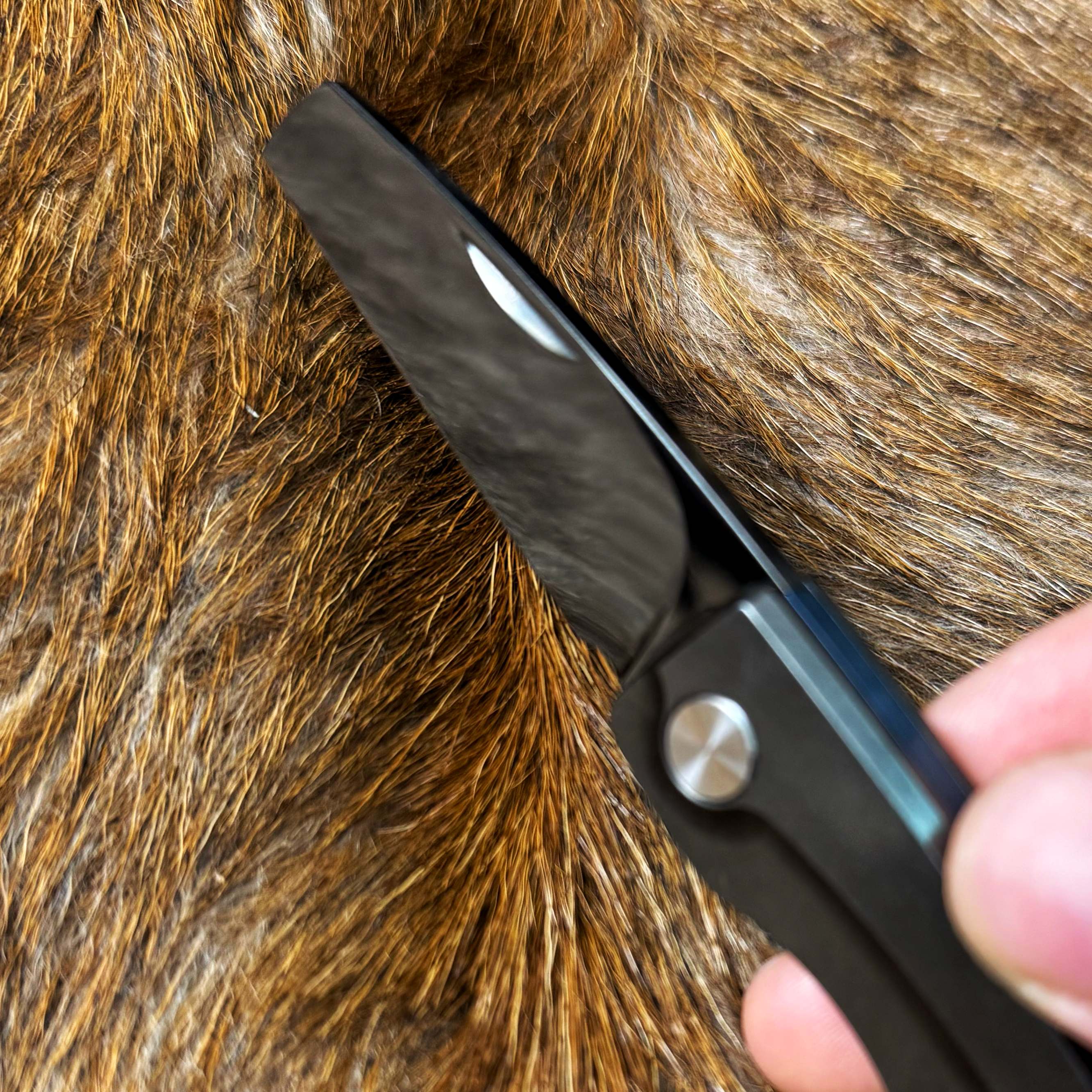 【黑眼豆豆】高端全DLC微镜面无锁折叠刀 简约设计便携耐用