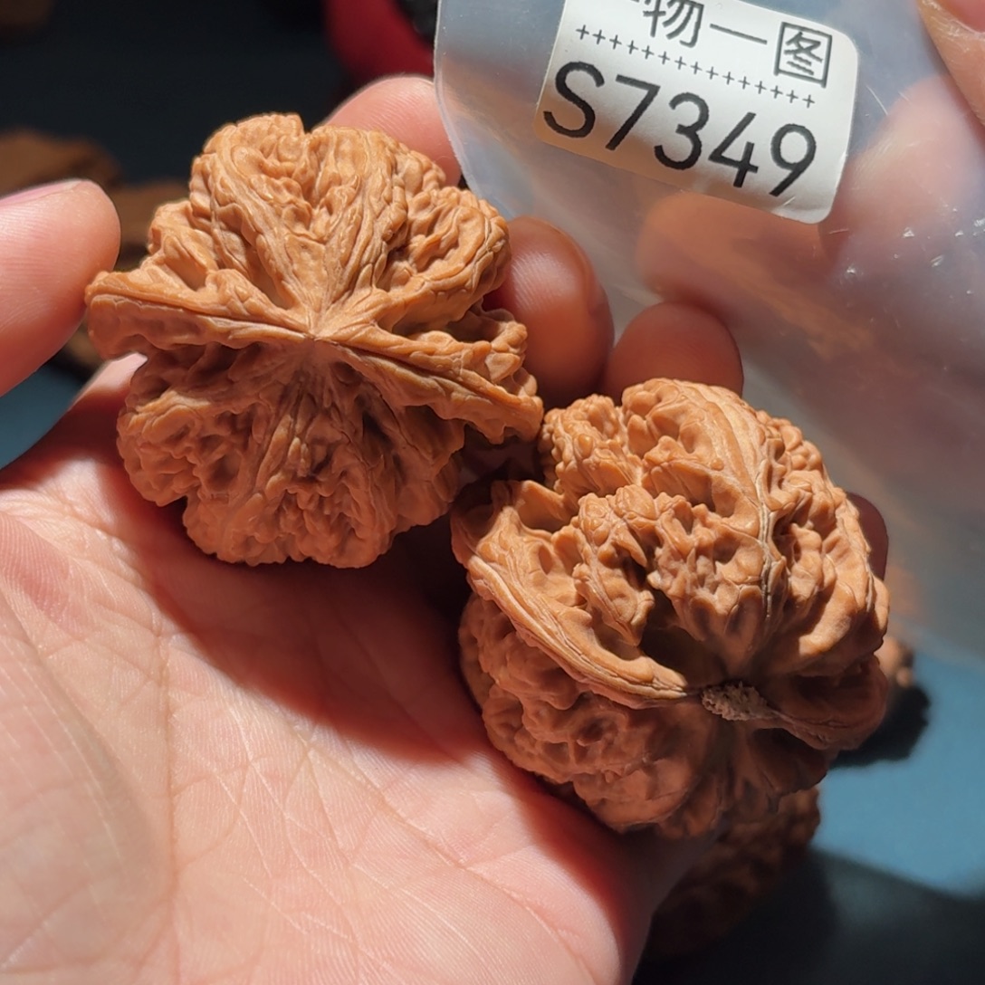 把件文玩核桃粗筋