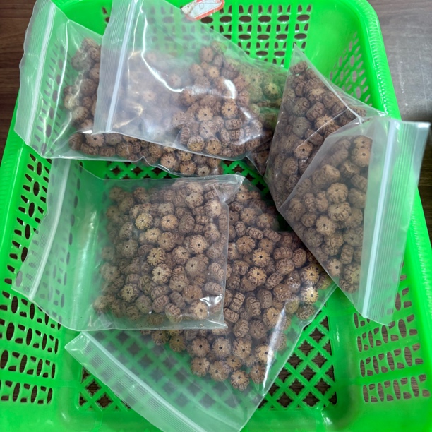 散籽薄切老树王散籽100颗 随机尺寸