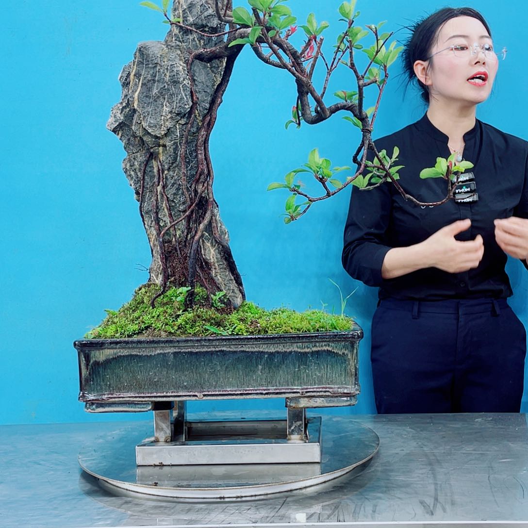 岭南文化艺术中心的