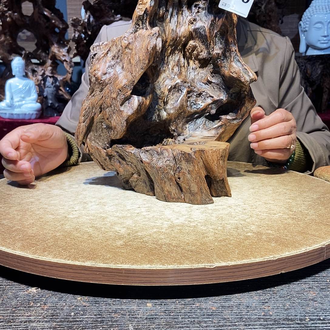 x***n株木随行的小底座299