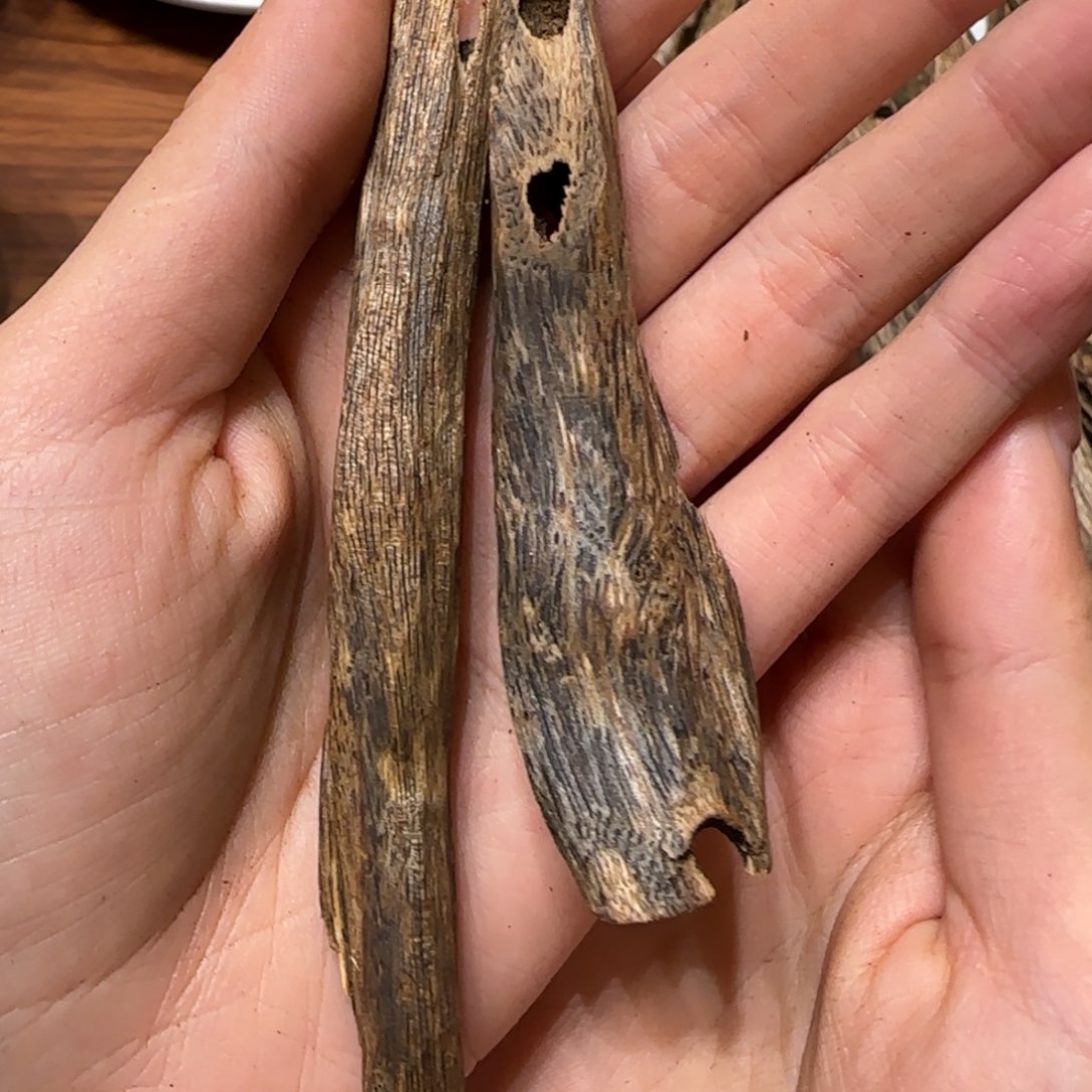 清***）沉香沉香碎屑奇楠虫漏10克