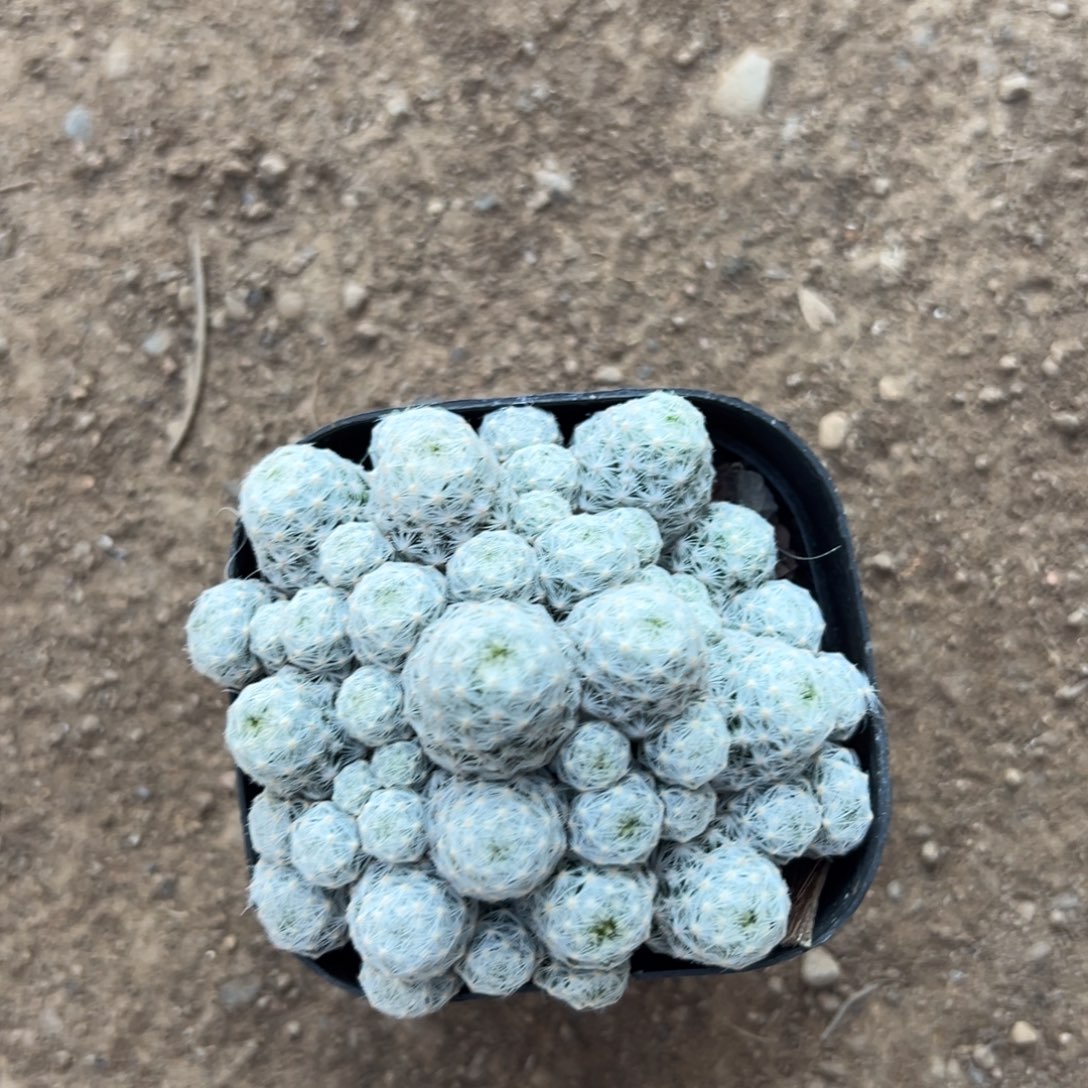 F****零零落落 零零落落 