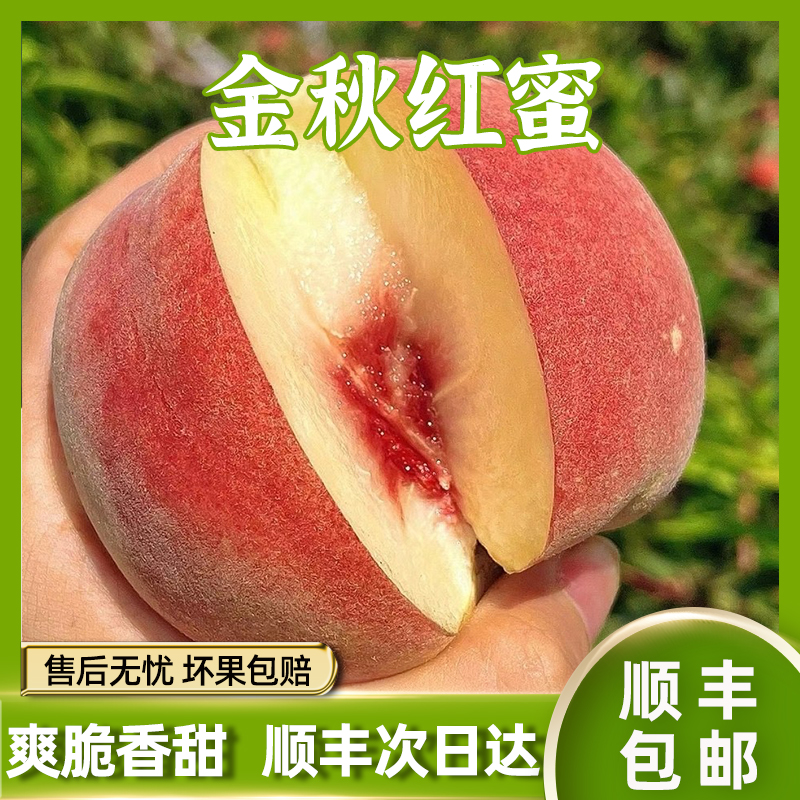 【顺丰次日达】金秋红蜜桃山东蒙阴3/5斤新鲜采摘脆甜多汁软脆两吃顺丰包邮山东省山东省