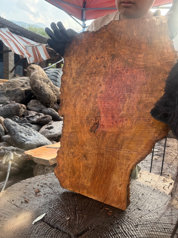 民间使用风化木漂流木