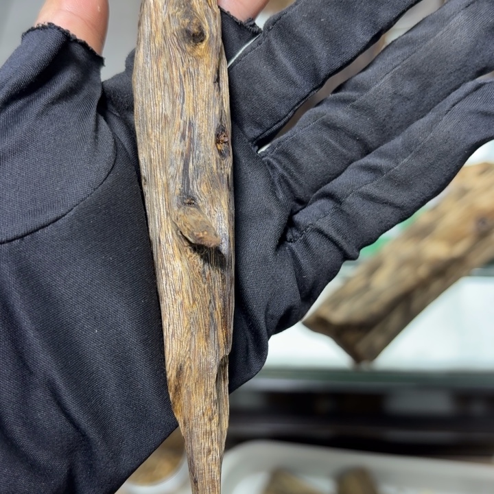 安***哥木乌身树心油发一份