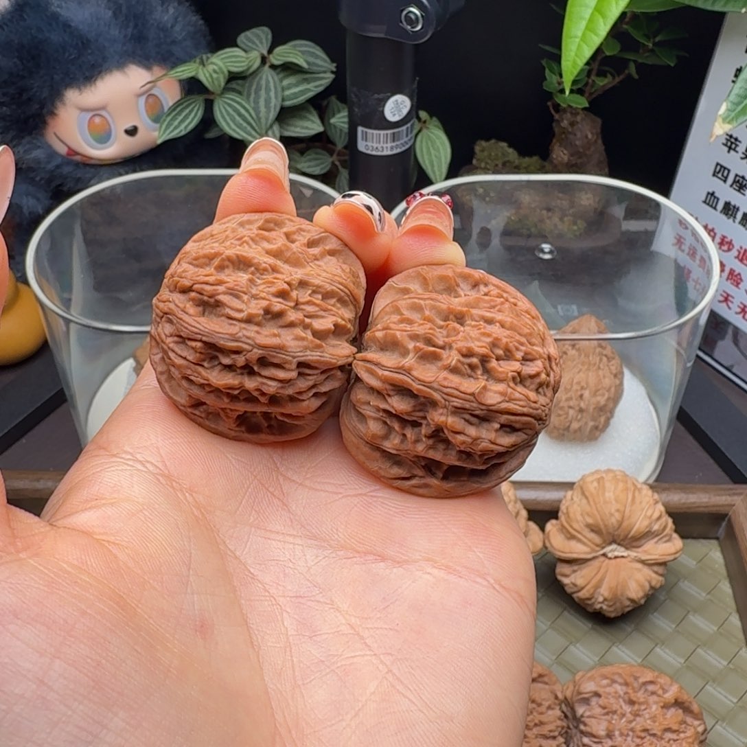 栗***.核桃全品血磨38尺