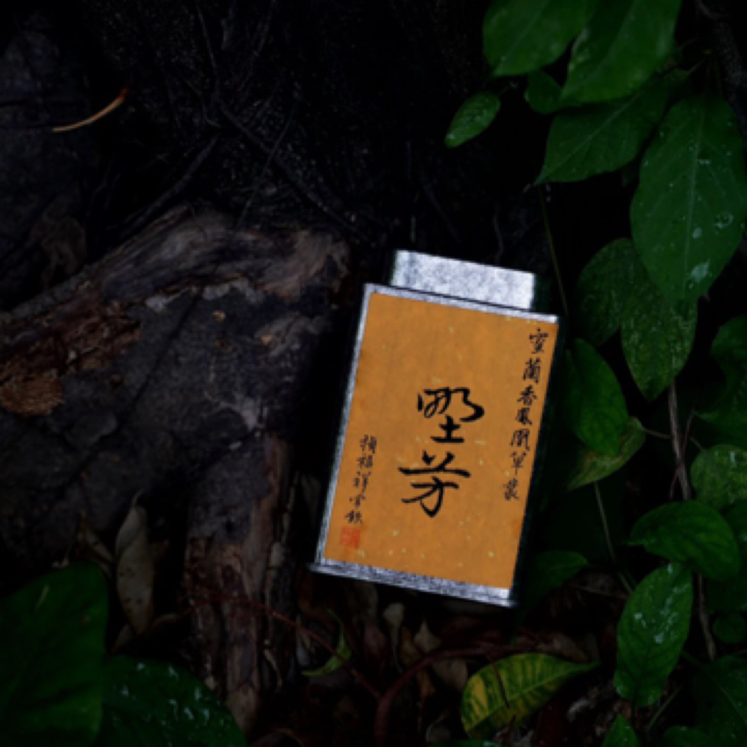 祯福祥 野芳 蜜兰香单丛 凤凰单丛 春茶