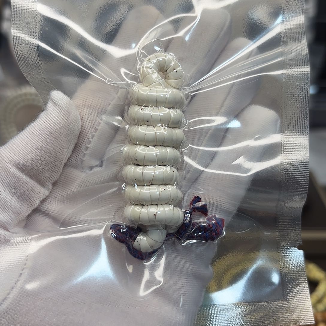 星月菩提吊坠高货原白大肠卡6数星