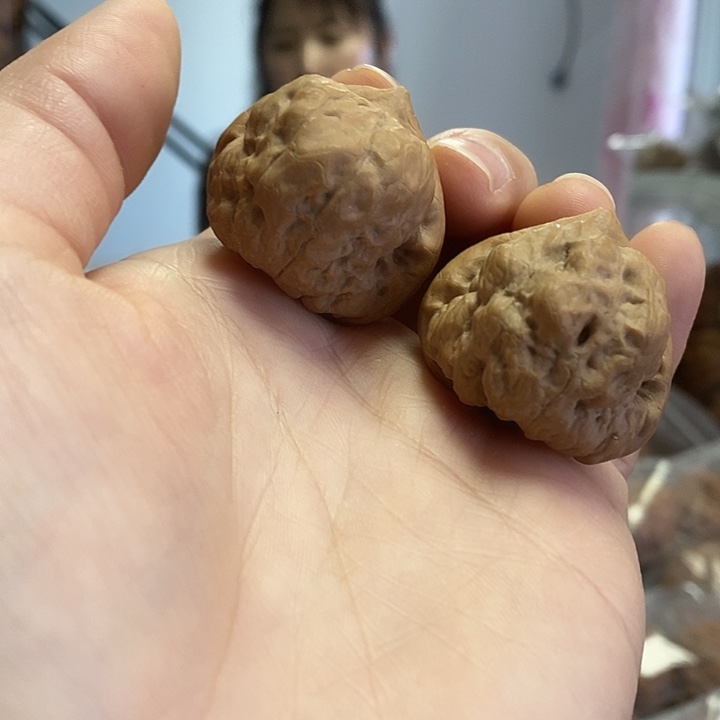 把件文玩核桃34.5古蝉