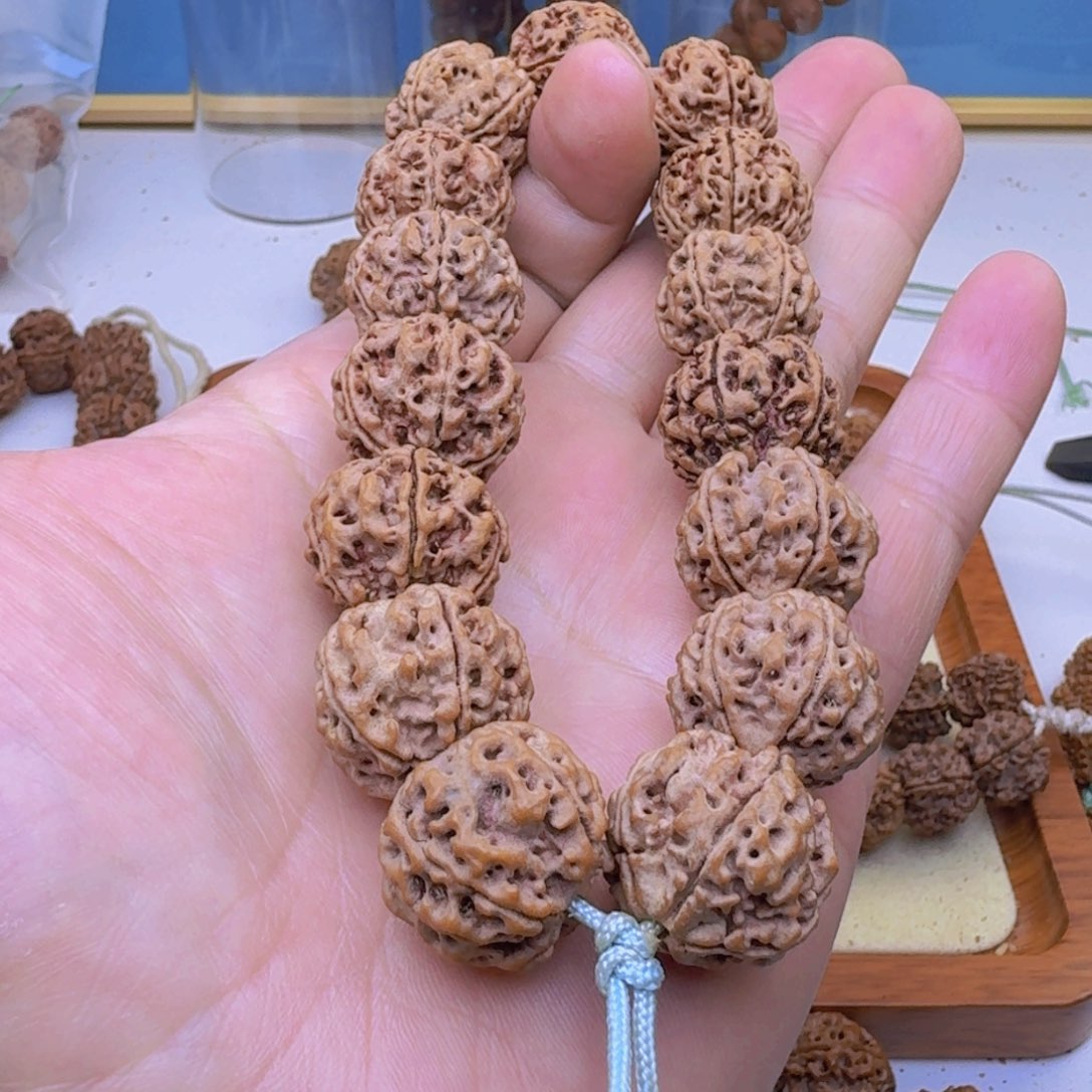 金刚菩提手串蜂窝双龙