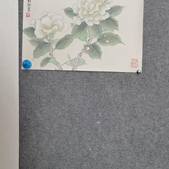 国画张张张张张张张张张张张