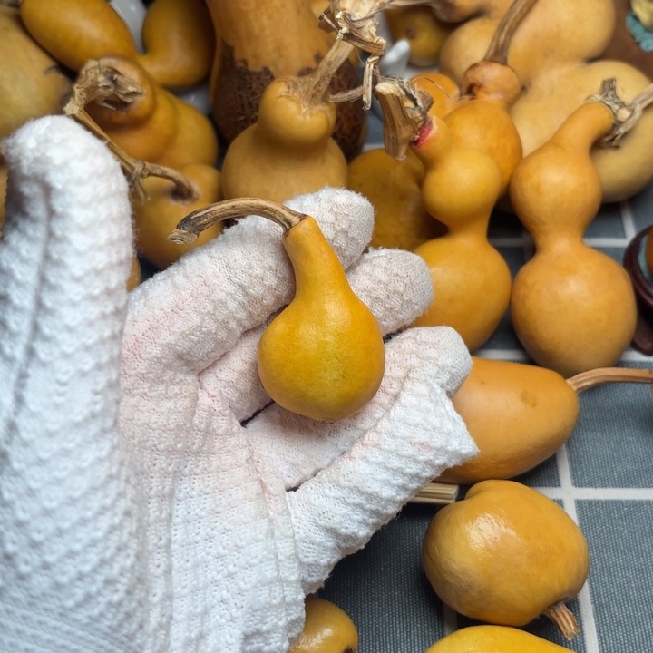 王***珍葫芦6666666666666