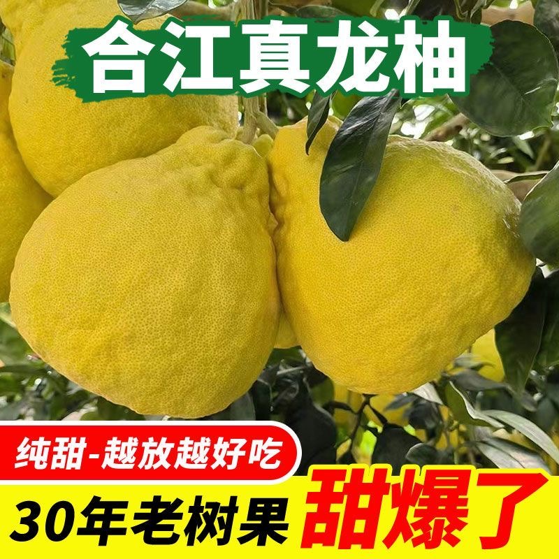 （没有了）正宗合江真龙柚无虾线白心柚子非沙田柚新鲜