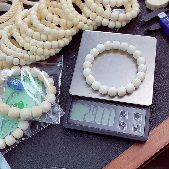 手串柏香籽/百香籽鲨****8大嘴带卡带标