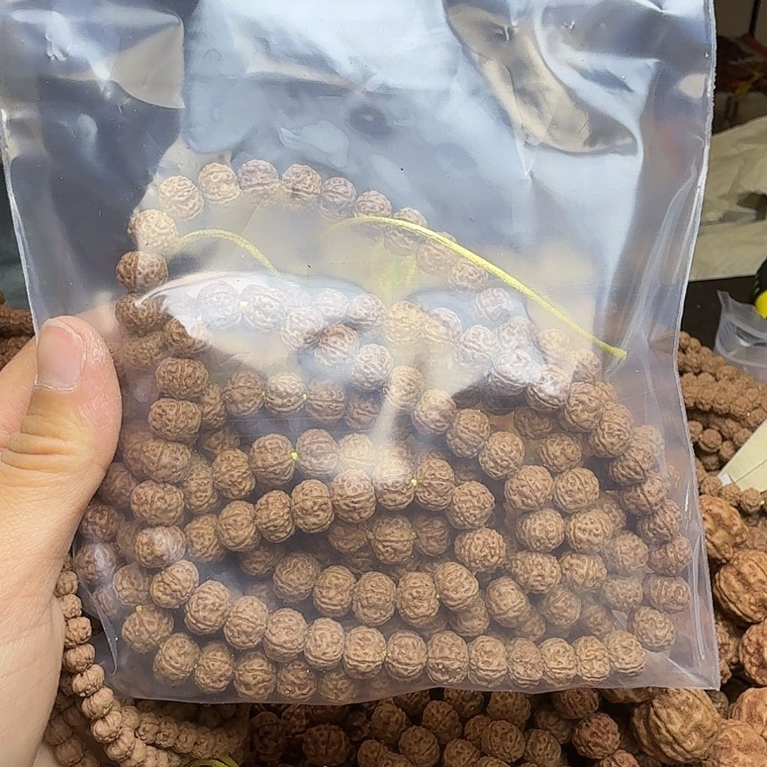 两****吊坠金刚菩提东爪洼老树王2条