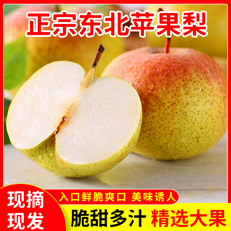 【苹果梨】正宗苹果梨 甜美多汁新鲜现摘 当季可做冻梨脆甜（糖果）
