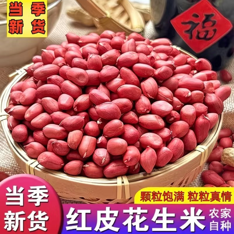 吉林新货四粒红花生仁不带壳生红衣花生米养胃农家新花生散装优选