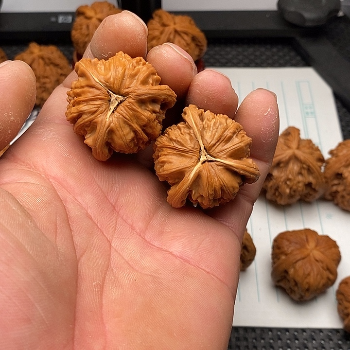 核桃手串/手链白狮子11