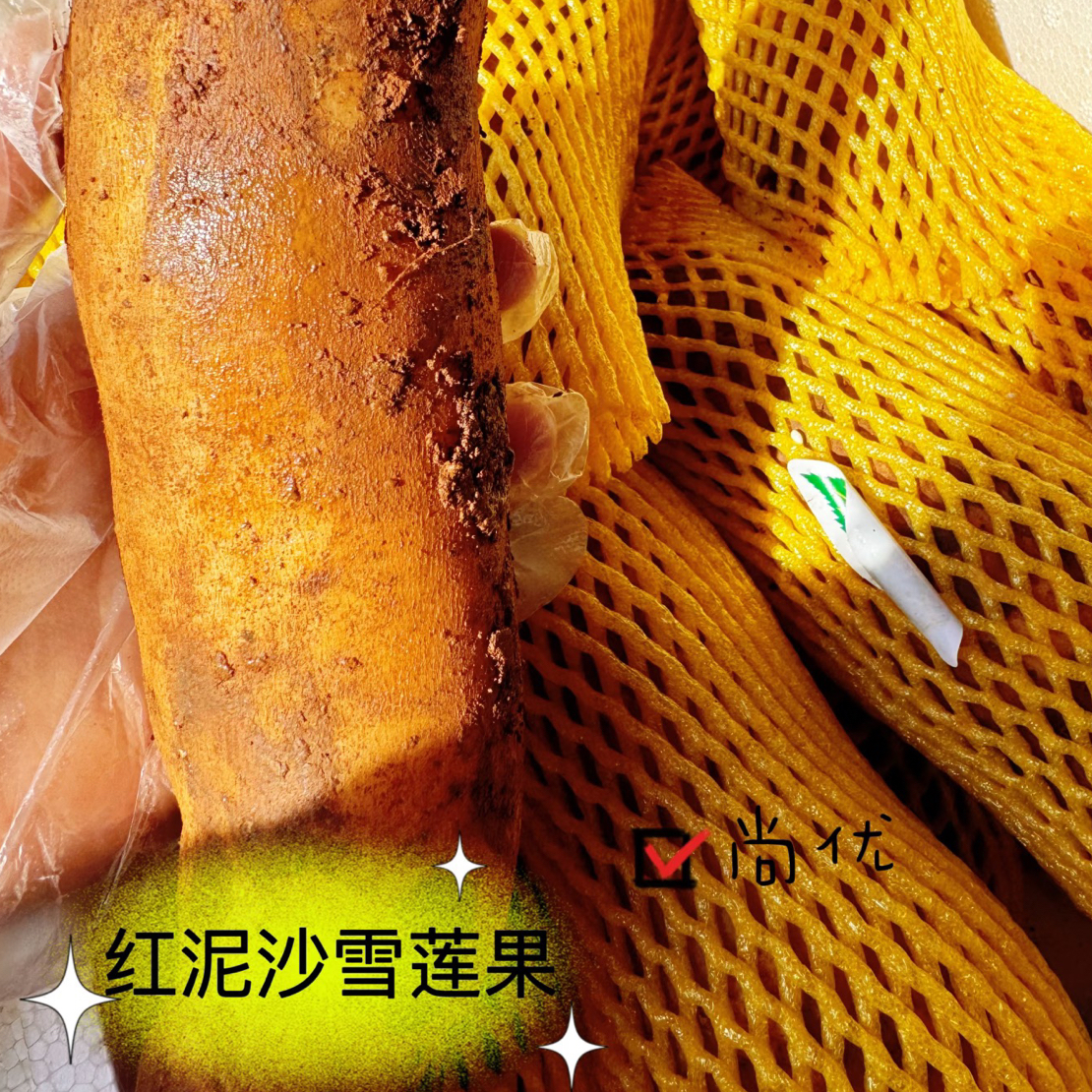 【V嘉精选】礼盒装红泥沙雪莲果4.5斤左右