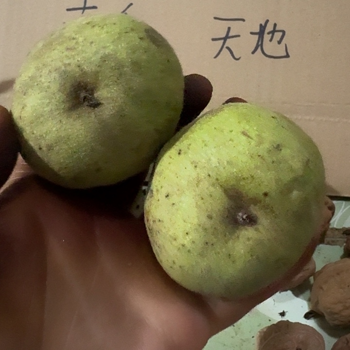 吊坠文玩核桃司**落元宝青皮