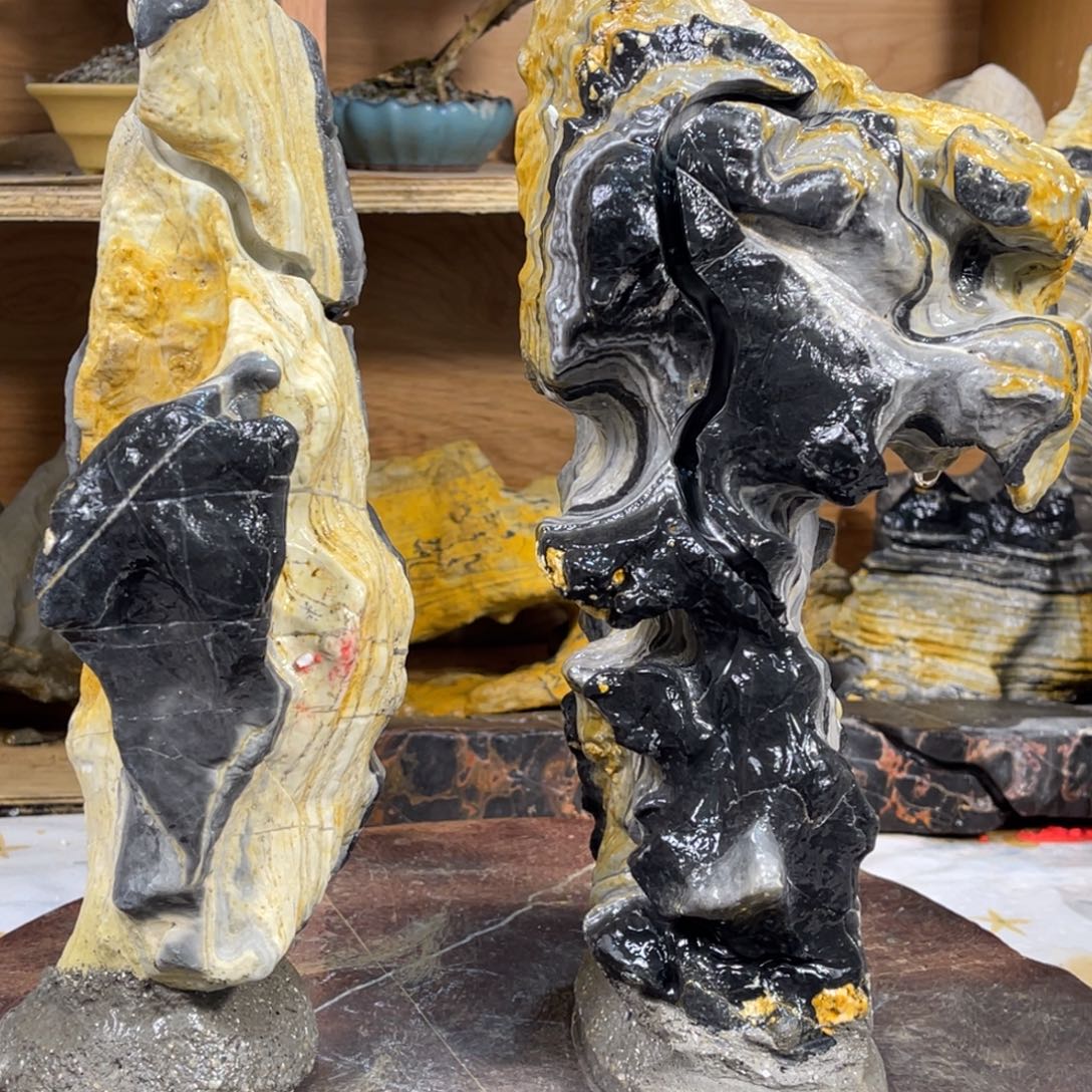 后***人附石盆景一物一拍