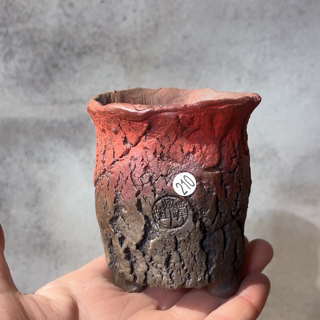 红陶微瑕特价外口7外高9