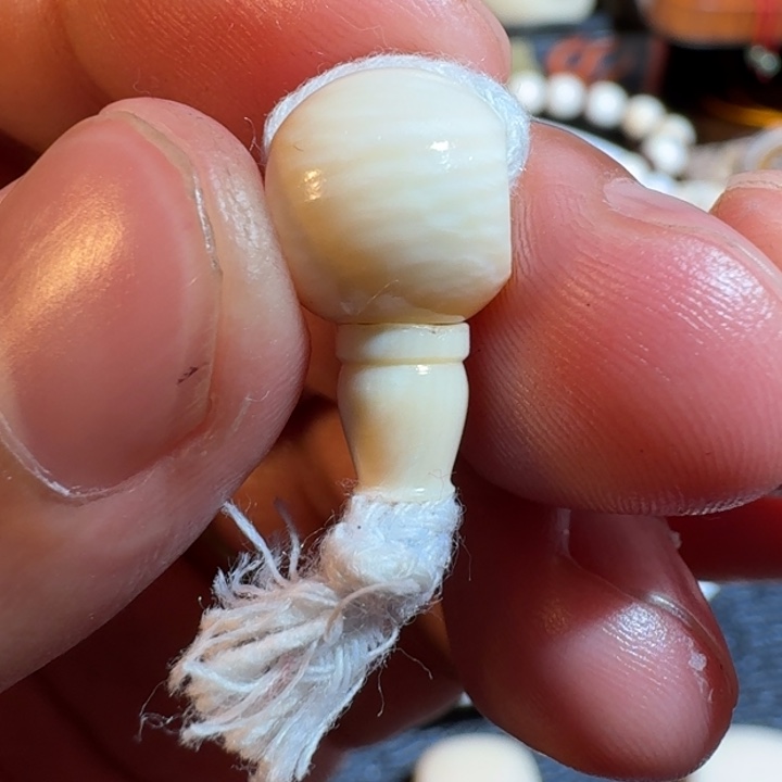 吊坠菩提根/象牙果