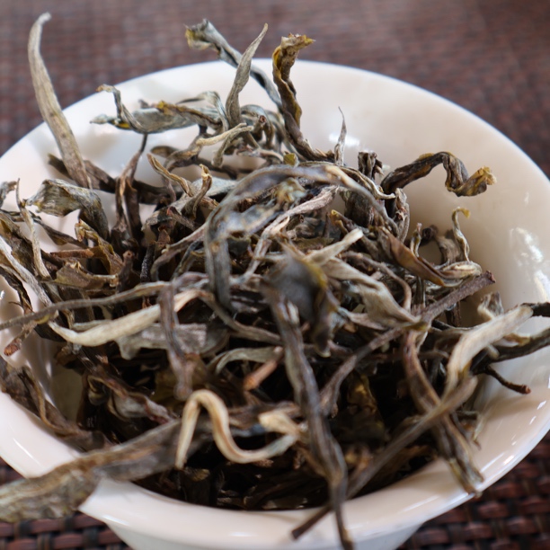 岩子头【核心区｜古树头春】古树头春头采