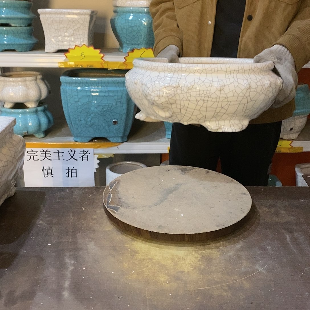 陶**生瑕疵花盆花盆里的花开