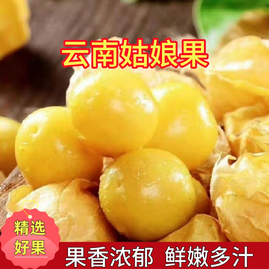 【香甜多汁】云南姑娘果灯笼果香甜可口新鲜应季产地直发