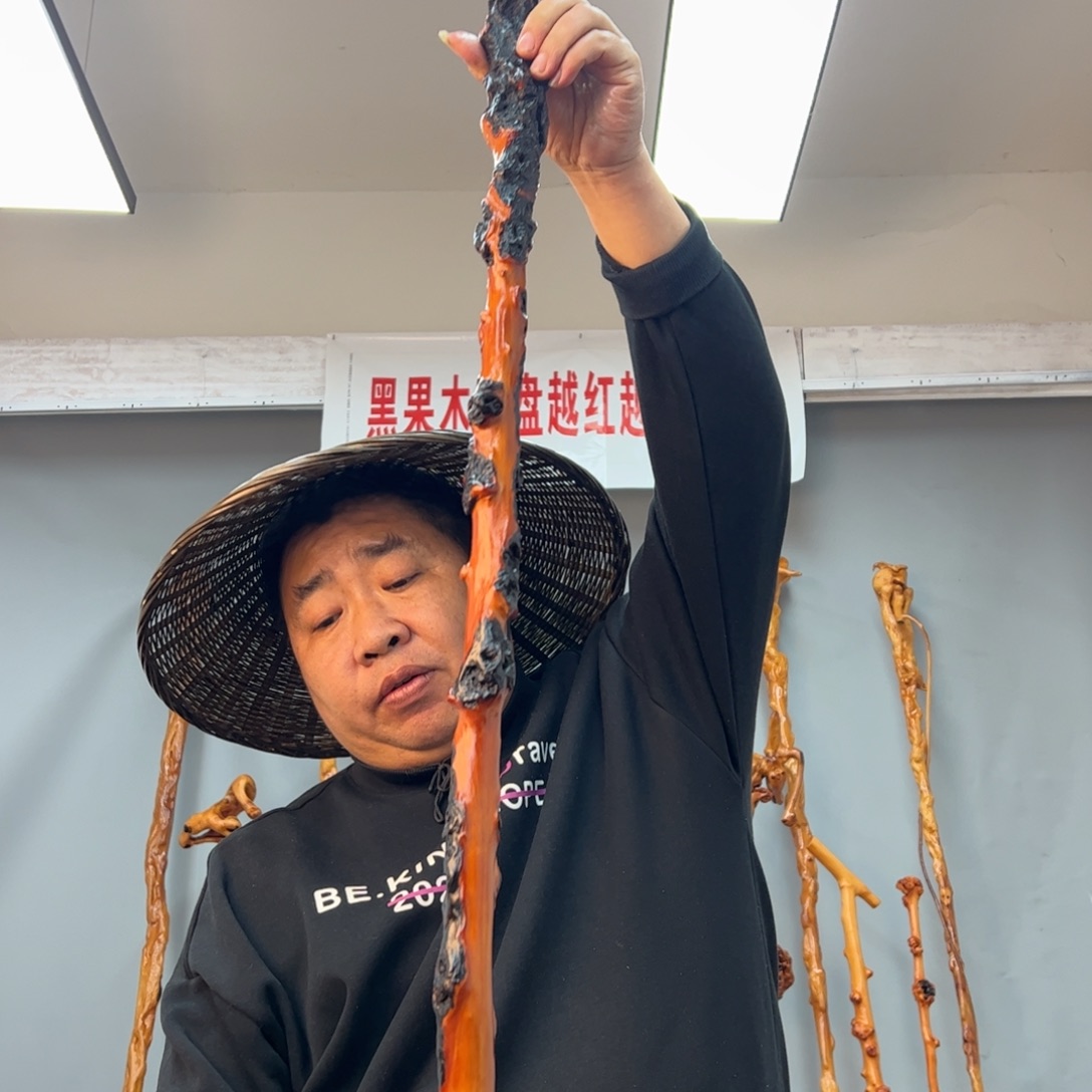黑果木其他黑果木987