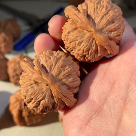 诚***鱼吊坠文玩核桃白狮子