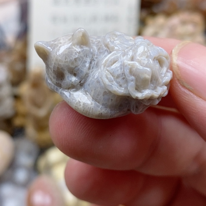 硅化珊瑚（珊瑚玉）未镶嵌颈饰小