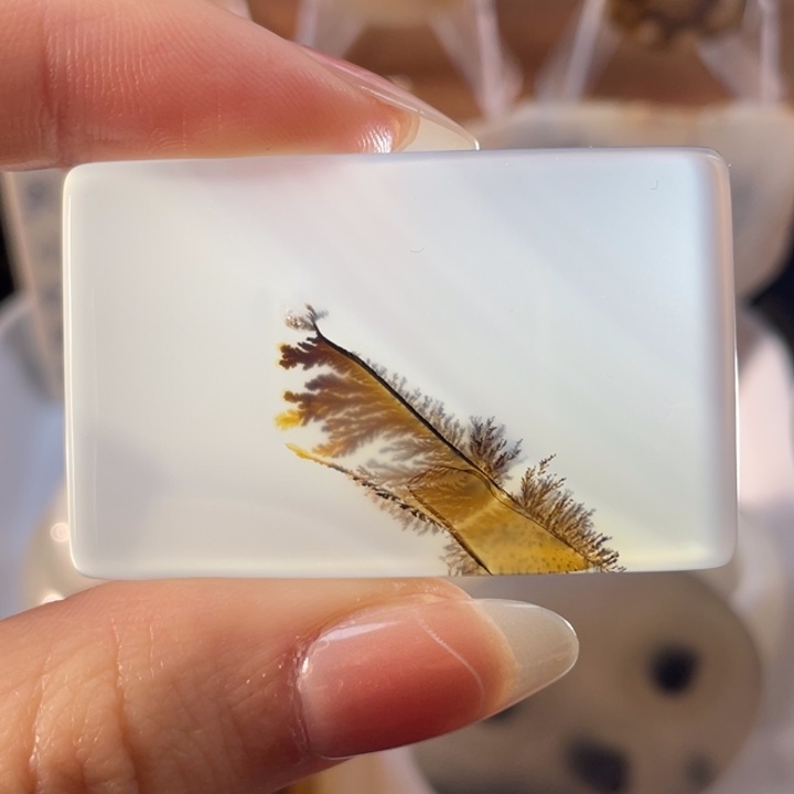 玛瑙/玉髓未镶嵌牌子