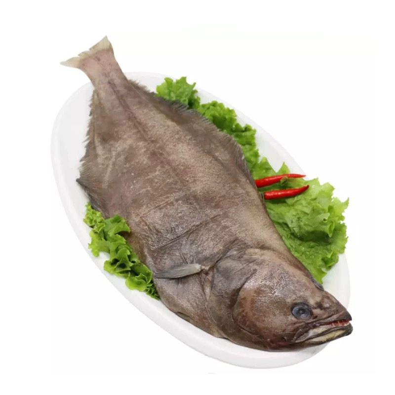 冷冻蝶鱼整条（多规格可选）