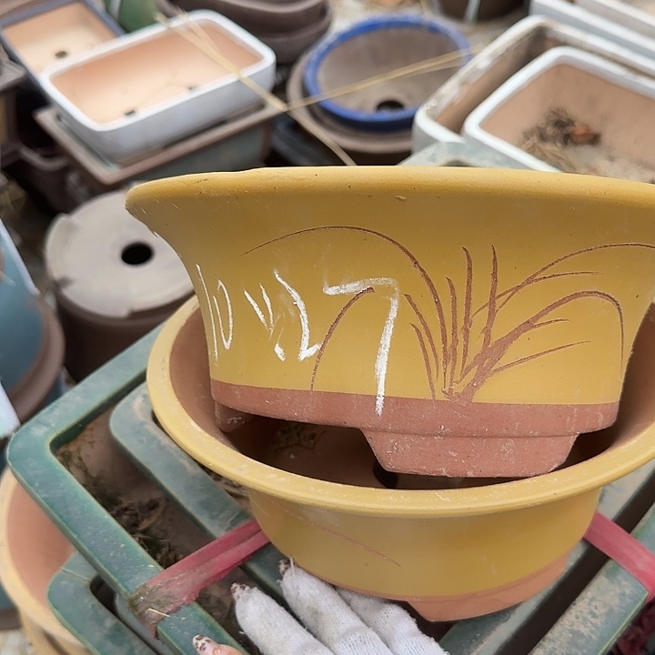 紫砂壶上传一枚被曝光一案