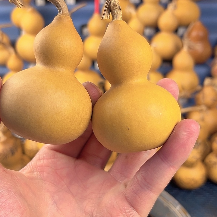 葫芦一物一拍所见即所得